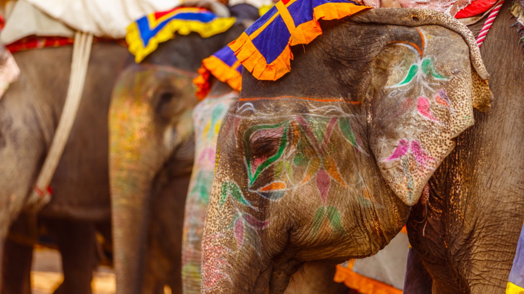 Elephants Festival in Jaipur