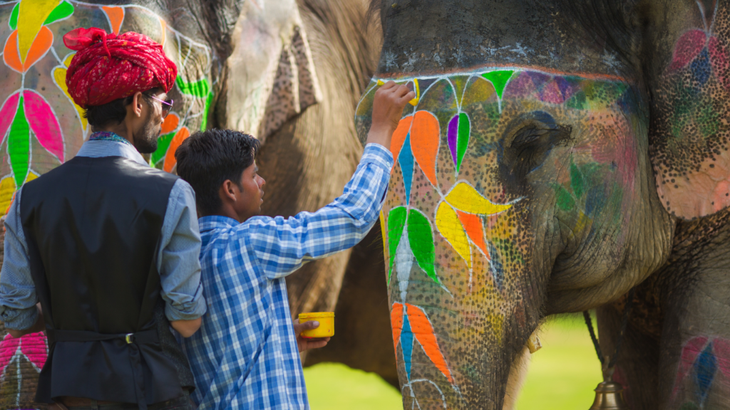 Celebrate Holi with Elephants